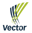 Vector